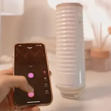 Operating max 2 bj simulator