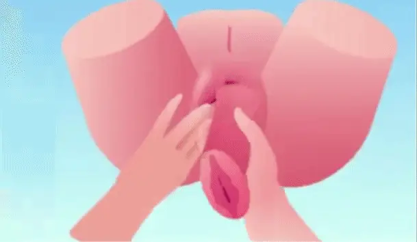 Mia torso's removeable vagina