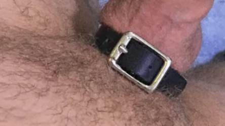 a tiny belt for a cock ring