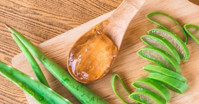 Aloe vera and wooden spoon