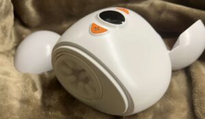 6 Best Testicle Massagers for Mind Bending Ballgasms!