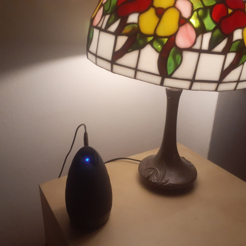 Lovehoney Blowmotion on my bedside table